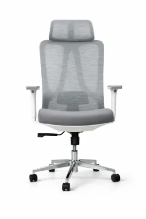 Fauteuil Président Ergonomique Tokyo – Confort Haut de Gamme avec Dossier Mesh, Accoudoirs 3D et Base Chromée
