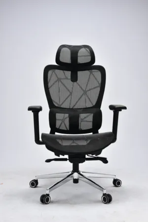 Chaise de Bureau Ergonomique avec Soutien Lombaire Réglable